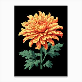 Chrysanthemum 18 Canvas Print