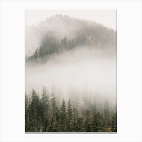 Foggy Forest Mountain Canvas Print