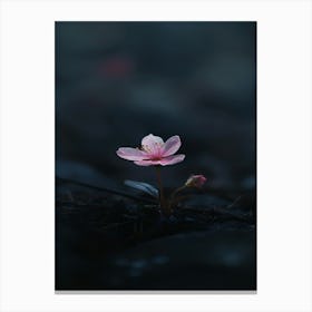 Pink Flower 13 Canvas Print