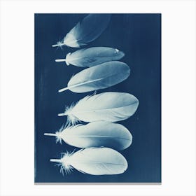 Feathers V Canvas Print