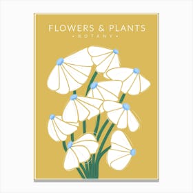 White Flowers Botany Canvas Print