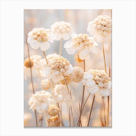 Boho Dried Flowers Lantana 3 Canvas Print