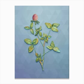 Vintage Pink Clover Botanical Art on Summer Song Blue n.0663 Canvas Print