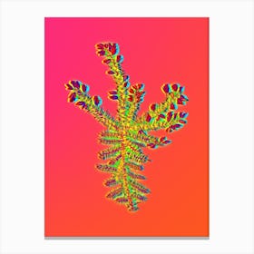 Neon Yellow Gorse Flower Botanical in Hot Pink and Electric Blue n.0434 Canvas Print
