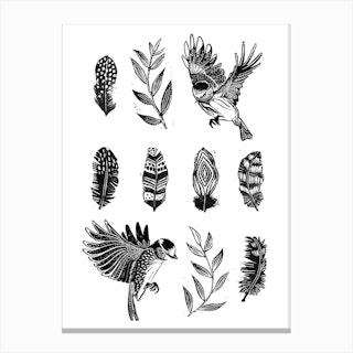 Feathers & Birds Canvas Print