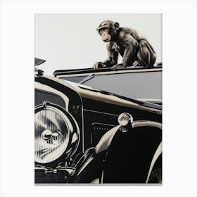 Monkey And Bentley Canvas Print