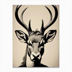 Deer Head 25 Canvas Print