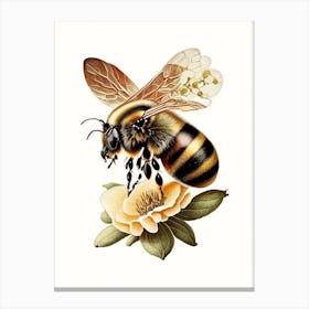 Honeybee And Flower 5 Vintage Canvas Print