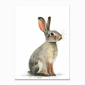 Californian Rabbit Nursery Illustration 4 Canvas Print