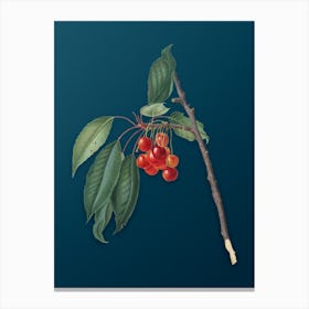 Vintage Cherry Botanical Art on Teal Blue n.0854 Canvas Print