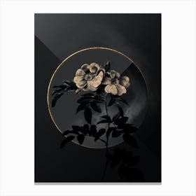 Shadowy Vintage Shining Rosa Lucida Botanical in Black and Gold n.0056 Canvas Print
