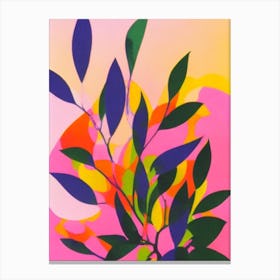 Jade Plant Colourful Illustration Canvas Print