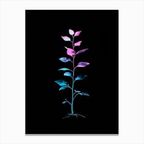 Plant In The Dark 36 Canvas Print