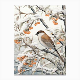 Winter Bird Painting House Sparrow 4 Canvas Print