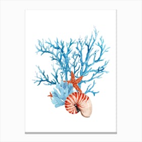 Watercolor Sea Corals And Shells Canvas Print