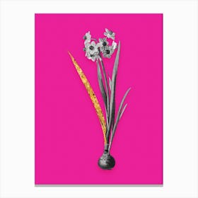 Vintage Daffodil Black and White Gold Leaf Floral Art on Hot Pink n.0626 Canvas Print