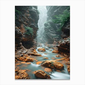 River In A Canyon Canvas Print