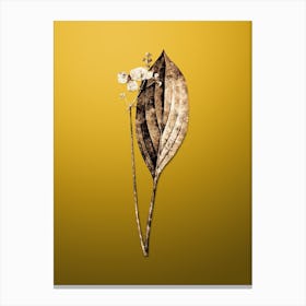 Gold Botanical Bulltongue Arrowhead on Mango Yellow n.0355 Canvas Print