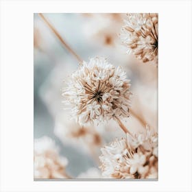 White Flowers Canvas Print