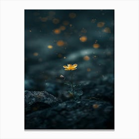 Flower In The Dark 14 Canvas Print