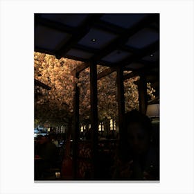 Cherry Blossoms At Night Canvas Print