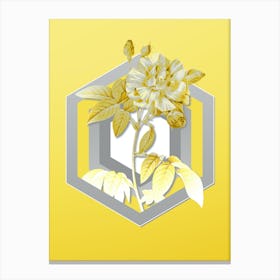 Botanical French Rosebush with Variegated Flowers in Gray and Yellow Gradient n.088 Canvas Print