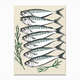 Sardines Canvas Print