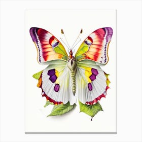 Brimstone Butterfly Decoupage 1 Canvas Print