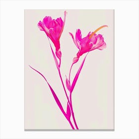 Hot Pink Heliconia 2 Canvas Print