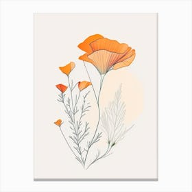 California Poppy Spices And Herbs Minimal Line Drawing 4 Canvas Print