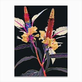 Neon Flowers On Black Celosia 3 Canvas Print