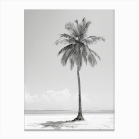 Palm Tree On The Beach 3 Canvas Print