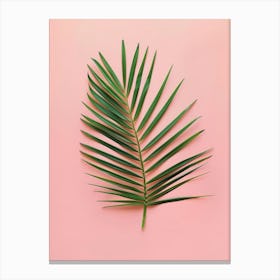 Palm Leaf On Pink Background 7 Canvas Print