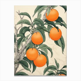 Tachibana Mandarin Orange 1 Vintage Japanese Botanical Canvas Print