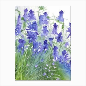 Mountain Bluebells Wildflower Watercolour 2 Canvas Print
