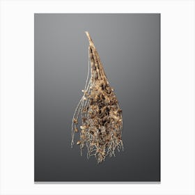 Gold Botanical Normal Spadice of the Palm on Soft Gray n.3338 Canvas Print