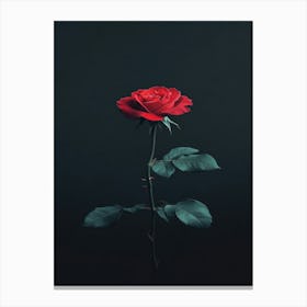 Single Red Rose Canvas Print