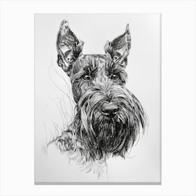 Scottish Terrier Dog Line Sketch 2 Canvas Print