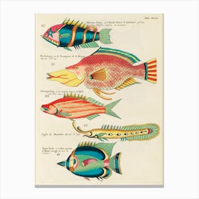 Colourful And Surreal Illustrations Of Fishes Found In Moluccas (Indonesia) And The East Indies, Louis Renard(11) Canvas Print