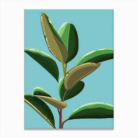 Rubber Plant Canvas Print