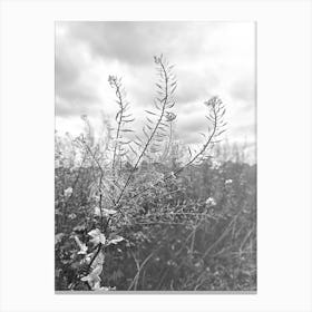 Black And White Flower Canvas Print