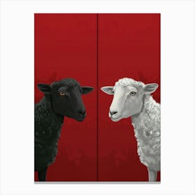 Black Sheep And White Sheep Canvas Print