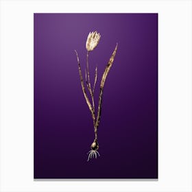 Gold Botanical Lady Tulip on Royal Purple n.1010 Canvas Print
