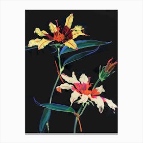 Neon Flowers On Black Gaillardia 1 Canvas Print
