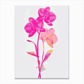 Hot Pink Monkey Orchid 1 Canvas Print