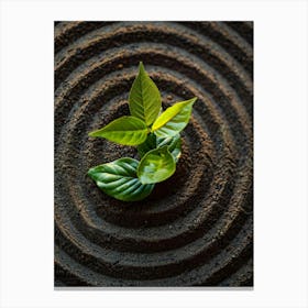 Zen Garden Concept Canvas Print