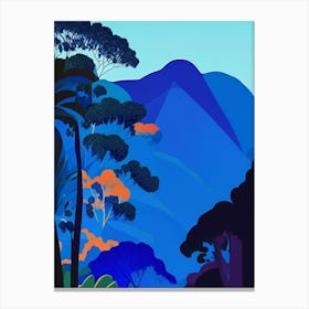 Blue Mountains National Park Australia Pop Matisse Canvas Print