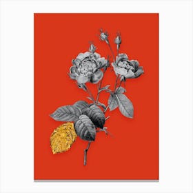 Vintage Anemone Centuries Rose Black and White Gold Leaf Floral Art on Tomato Red n.1139 Canvas Print