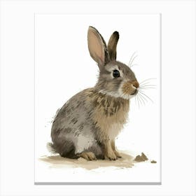 Argente Rabbit Nursery Illustration 2 Canvas Print