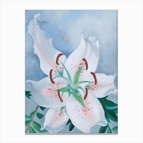 Georgia O'Keeffe - Pink Spotted Lily Canvas Print